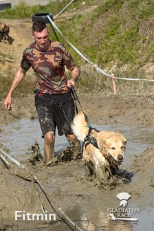 Gladiator Race Dog v Holicích